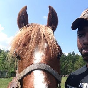 Meet your Posher, William